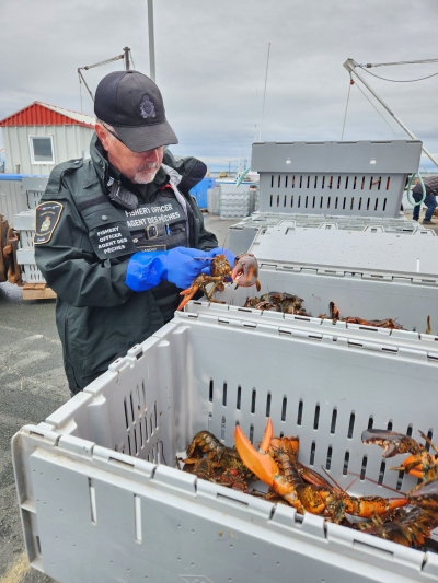 Nord-Est : des p&ecirc;cheurs commerciaux sous enqu&ecirc;te