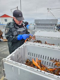 Nord-Est : des pêcheurs commerciaux sous enquête