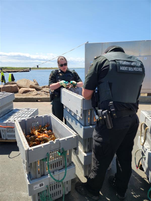 Pêche au homard : inspection majeure dans la zone 23