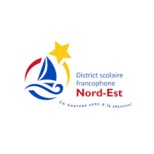 DSFNE : campagne en cours en vue d’élire une élève au sein du Conseil d’éducation