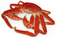 La p&ecirc;che aux crabes des neiges est lanc&eacute;e